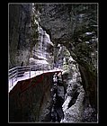 018 - Gorges du Fier.jpg