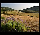 119- Verdon.jpg