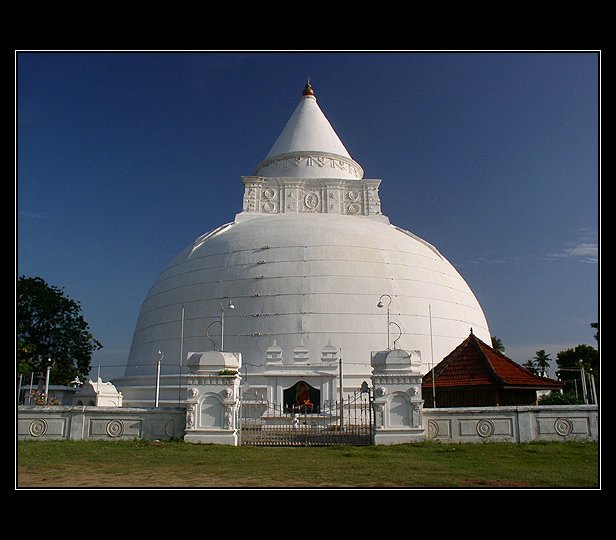 Yala-01.jpg