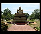 Colombo-08.jpg