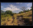 Dambulla-02.jpg
