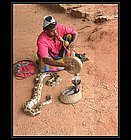 Galle-10.jpg