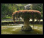 Kandy-01.jpg