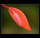 Kandy-06.jpg