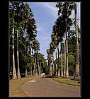 Kandy-09.jpg