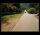 Kandy-10.jpg