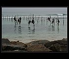 Weligama-03.jpg