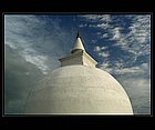 Yala-03.jpg