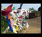 Yala-04.jpg