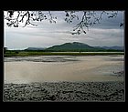Yala-05.jpg