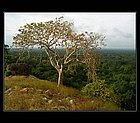 Yala-07.jpg