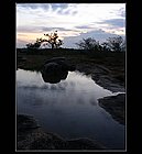Yala-09.jpg
