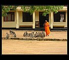 Yala-11.jpg