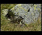 023 - Vysoké Tatry.jpg